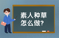 种草平台怎么选?2025年品牌突围关键:品众宣素人推广新攻略